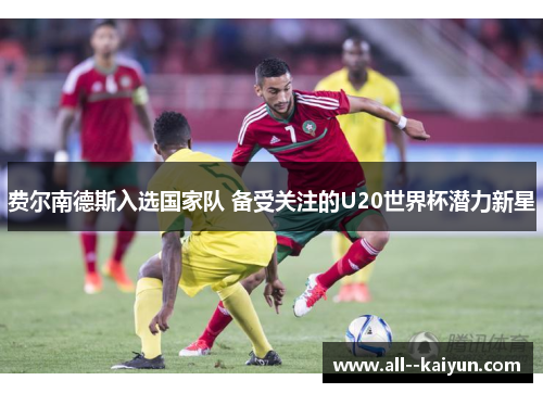 费尔南德斯入选国家队 备受关注的U20世界杯潜力新星