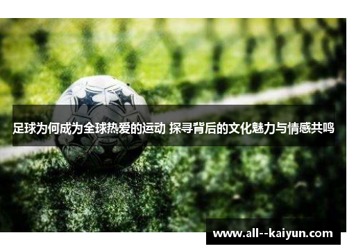 足球为何成为全球热爱的运动 探寻背后的文化魅力与情感共鸣