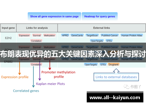 布朗表现优异的五大关键因素深入分析与探讨