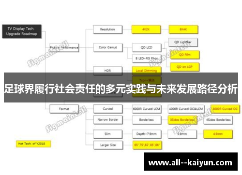足球界履行社会责任的多元实践与未来发展路径分析 足球界履行社会责任的多元实践与未来发展路径分析