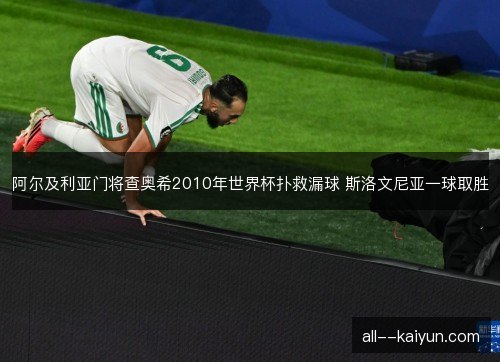 阿尔及利亚门将查奥希2010年世界杯扑救漏球 斯洛文尼亚一球取胜